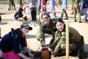 Safe house Children Planting Olive Trees with Soldiers during a field trip.