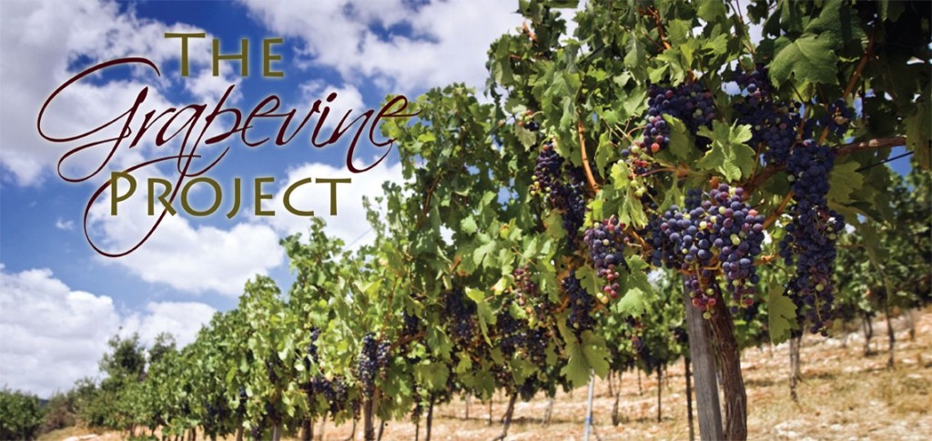 Did you know that there are over 80 verses in the Bible that speak about grapes?