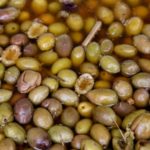 fermented olives