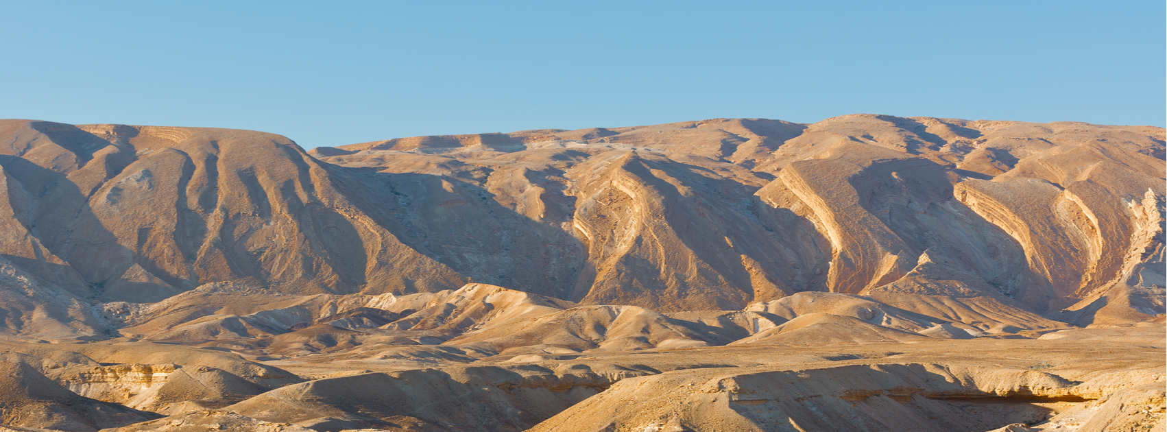 The Negev Desert Where Prophecy Meets Reality Sponsor An Olive Tree   Shutterstock 177204470 