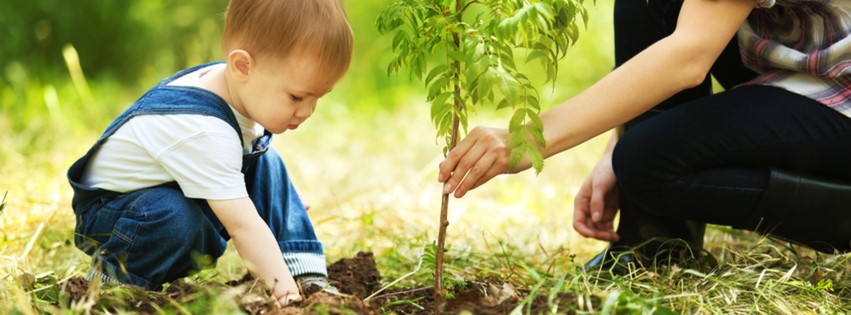 Boy with adult planting tree