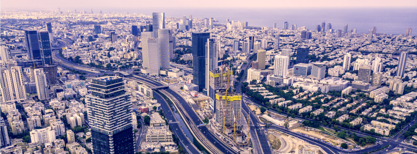 Jobs And Economic Growth In Israel Sponsor An Olive Tree In Israel