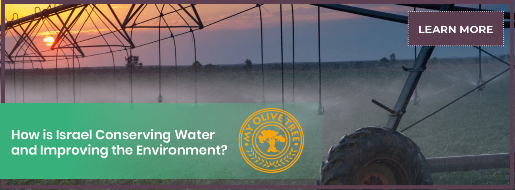Banner - How is Israel Conserving Water and Improving the Environment