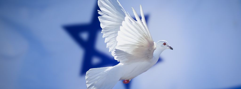 A dove of peace on the Israeli flag.