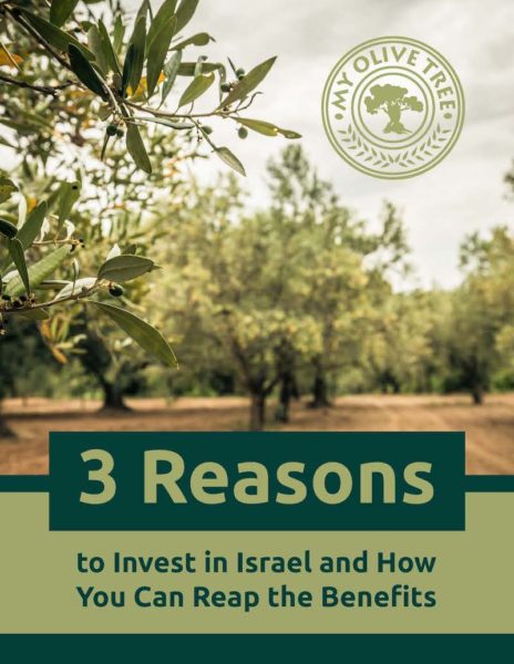 Investment in Israel