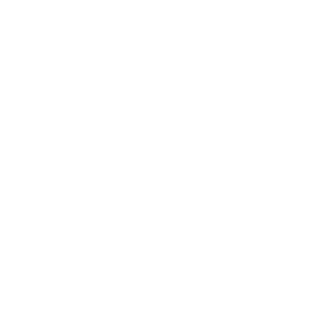 My Olive Tree White Logo
